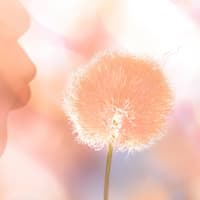 Peach Fuzz Peach Fuzz