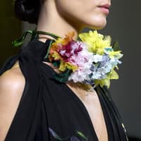 Frische Parfums Blumen