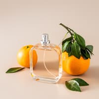 Mandarine Basilikum Parfum Mandarine Basilikum Parfum