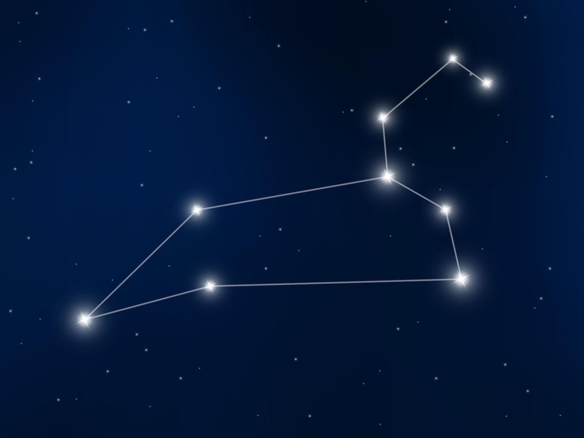 Sternzeichen Löwe Sternzeichen Löwe